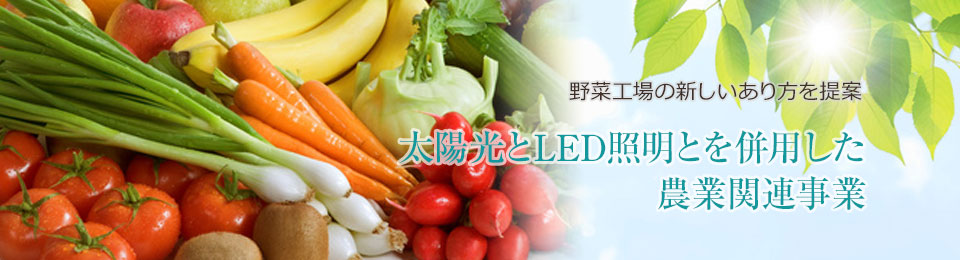 太陽光とLED活用による農業関連支援